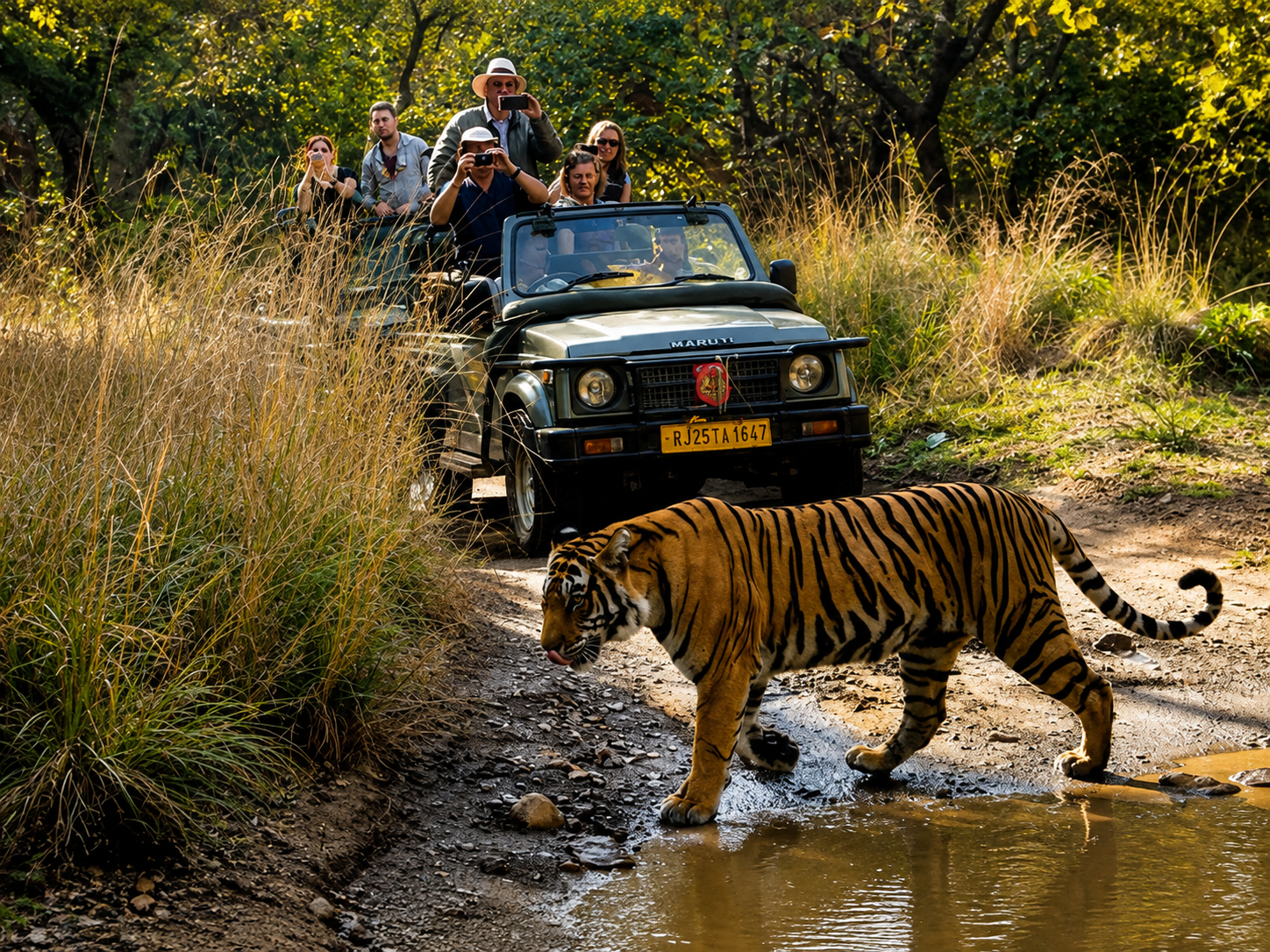Ranthambore