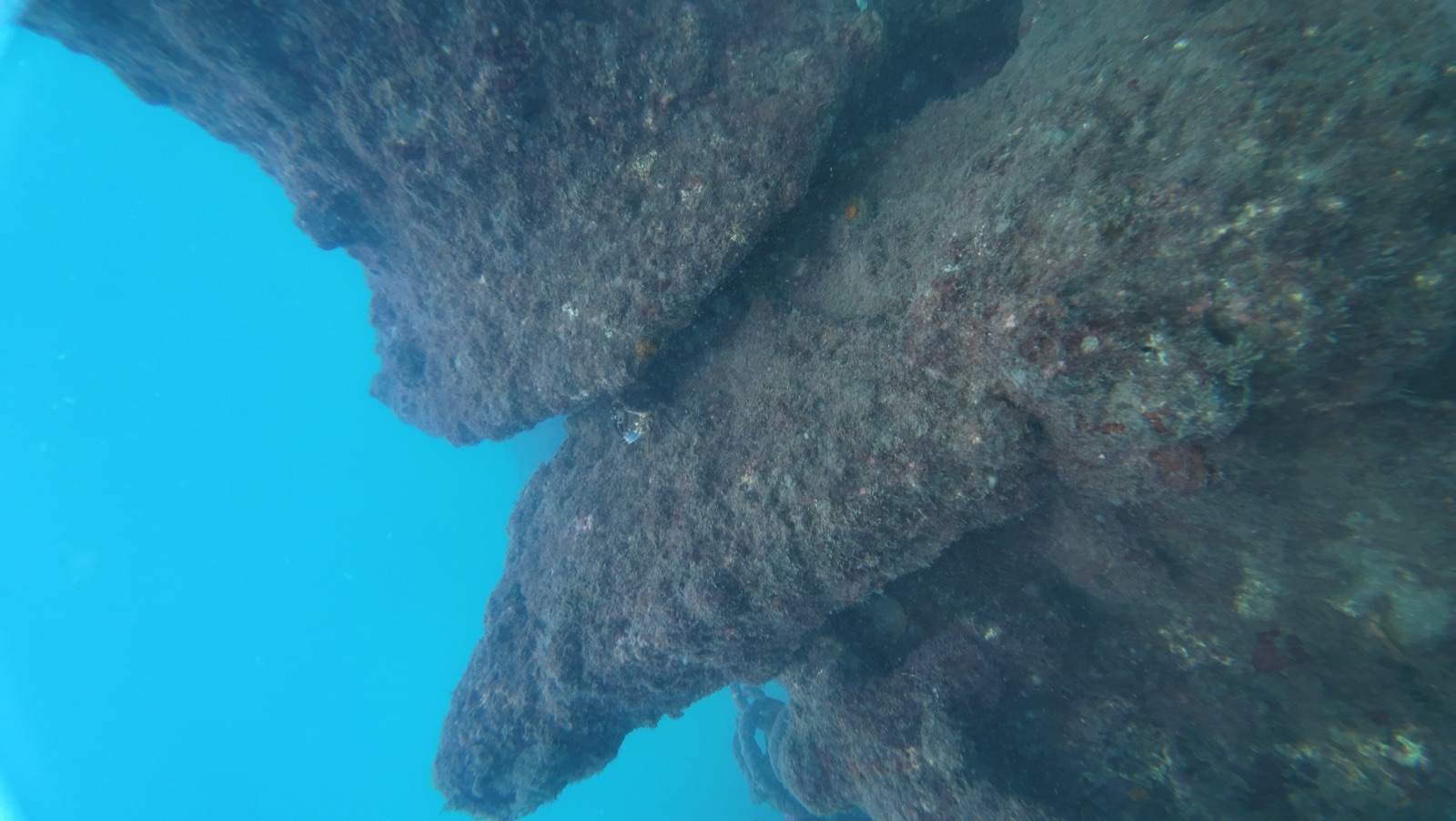 Shipwreck & Coral Garden Double Scuba Dive – 40+40 Mins — photo 4