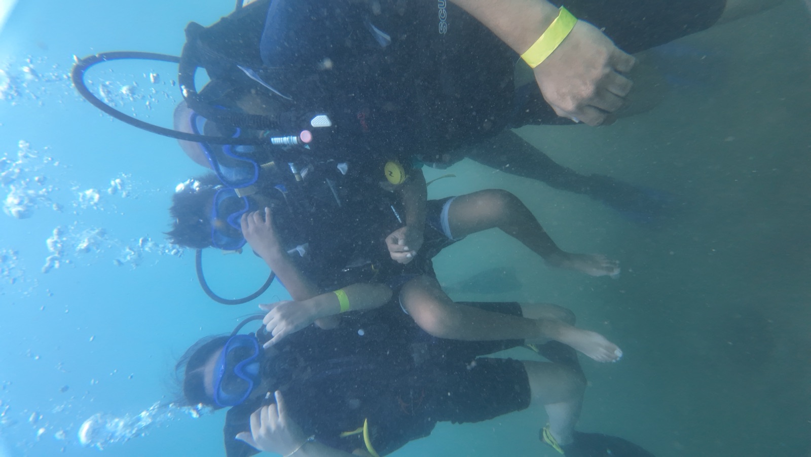 Shipwreck & Coral Garden Double Scuba Dive – 40+40 Mins — photo 3