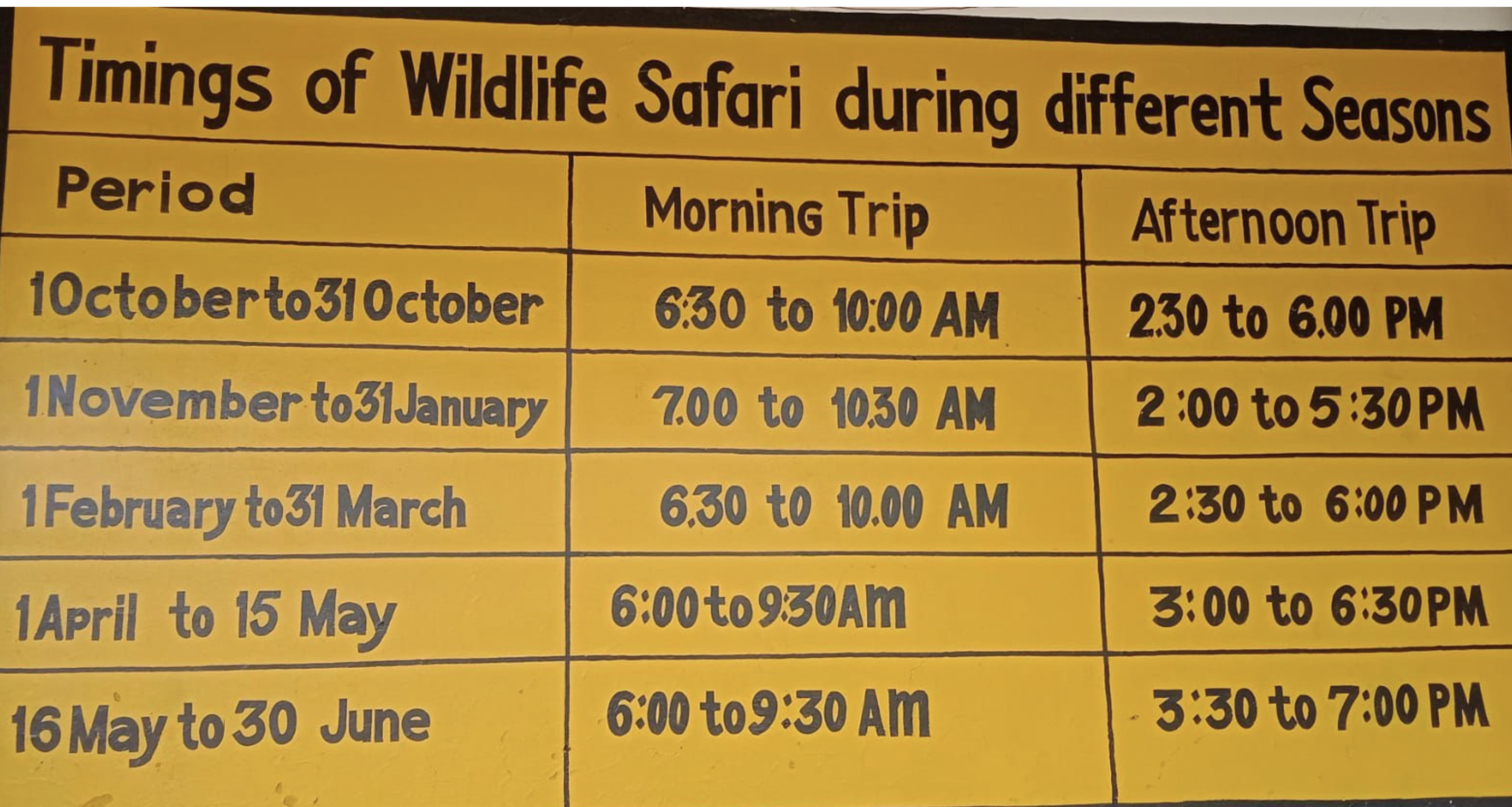 Official Forest Department Safari Timings Schedule