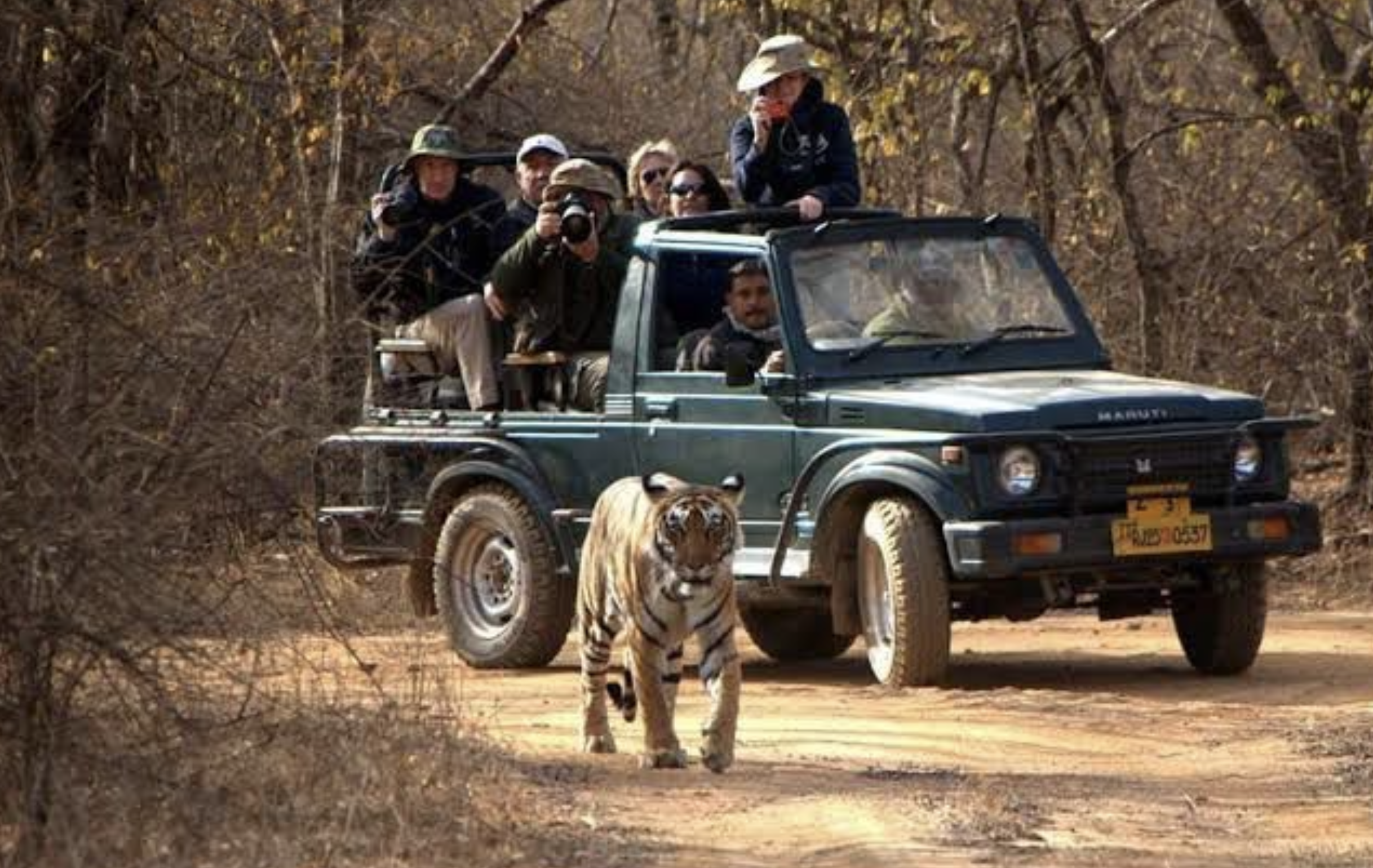 Shared Gypsy Wildlife Safari