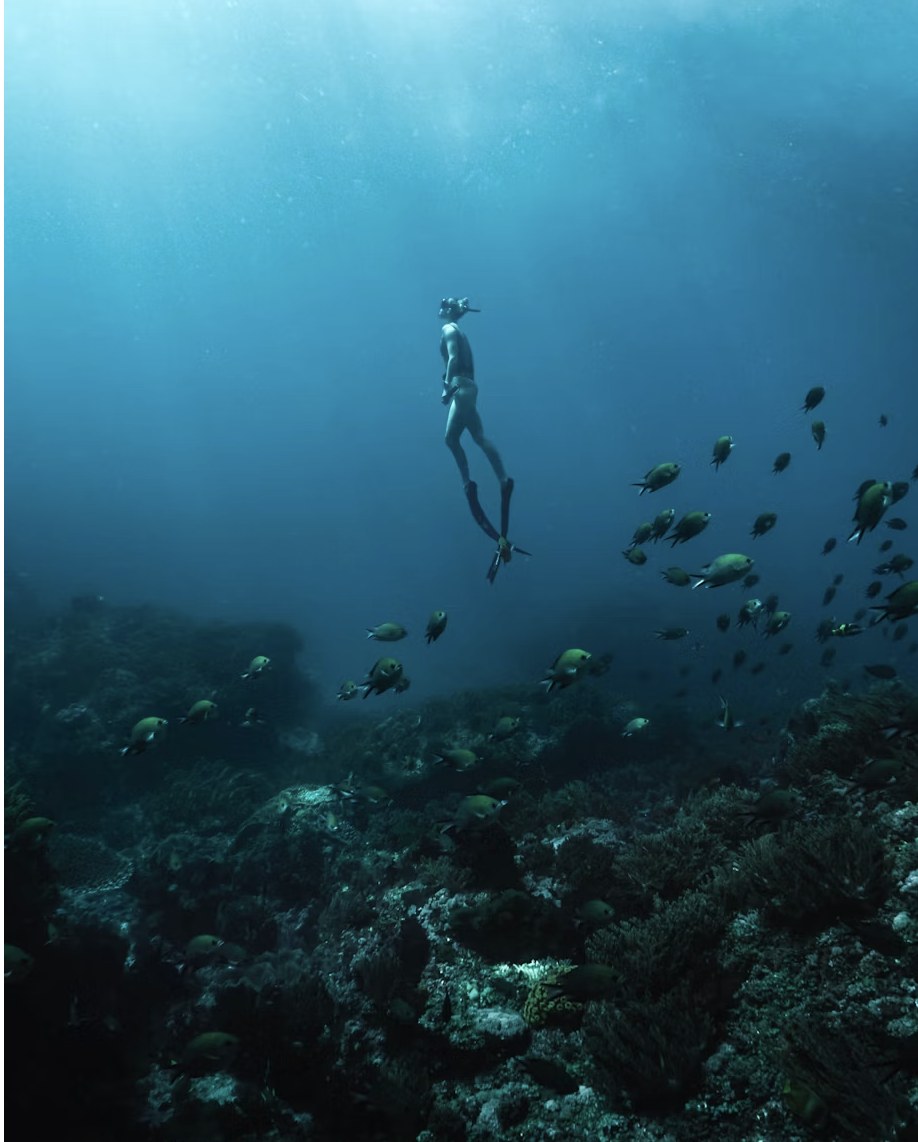 Freediver descending deep into azure waters among tropical fish schools