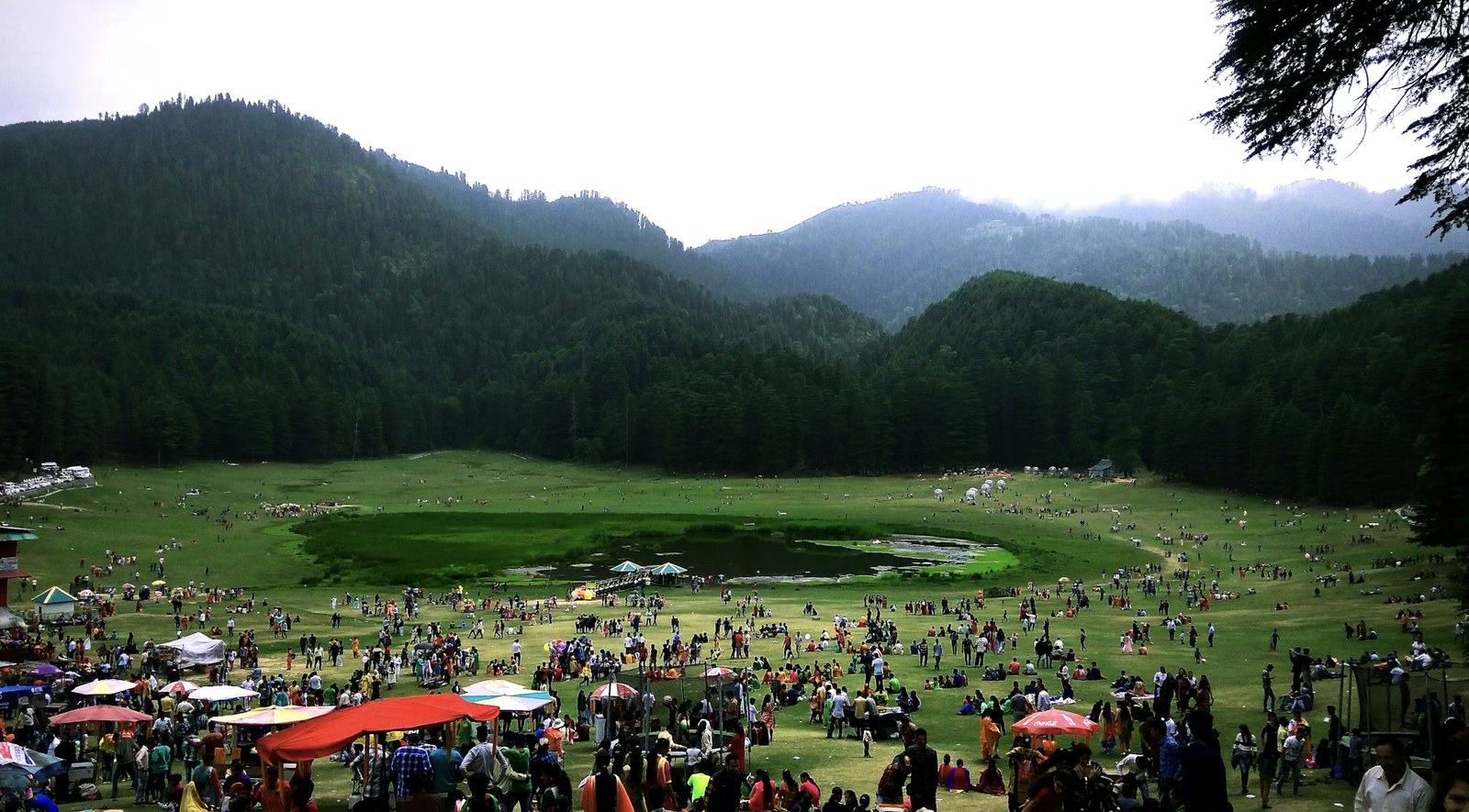 Lush green saucer meadow and deodar pine forests of Khajjiar — 'Mini Switzerland of India'