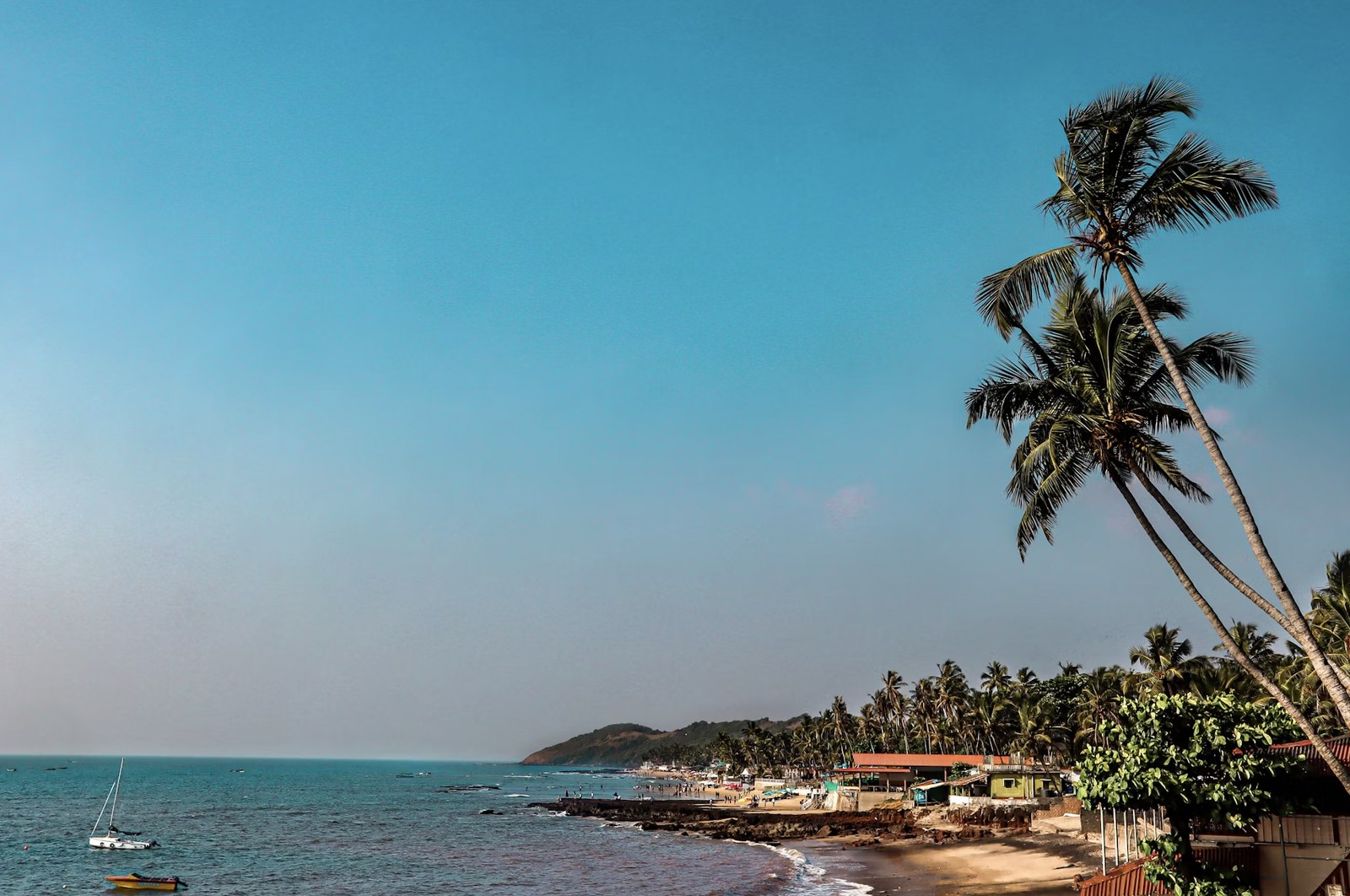 Tropical swaying palms along the crystal blue Goa coastline