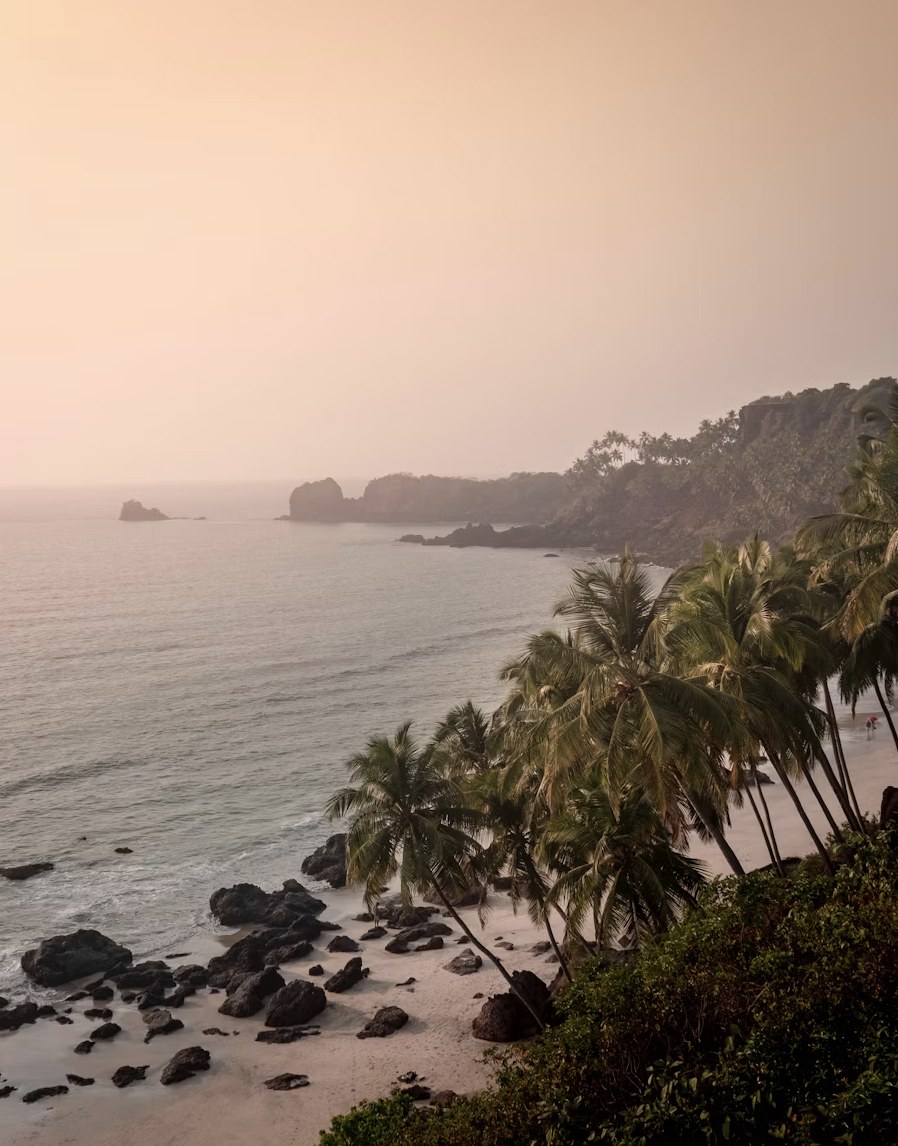 Scenic cliffside viewpoint overlooking the Arabian Sea and palm groves at dusk