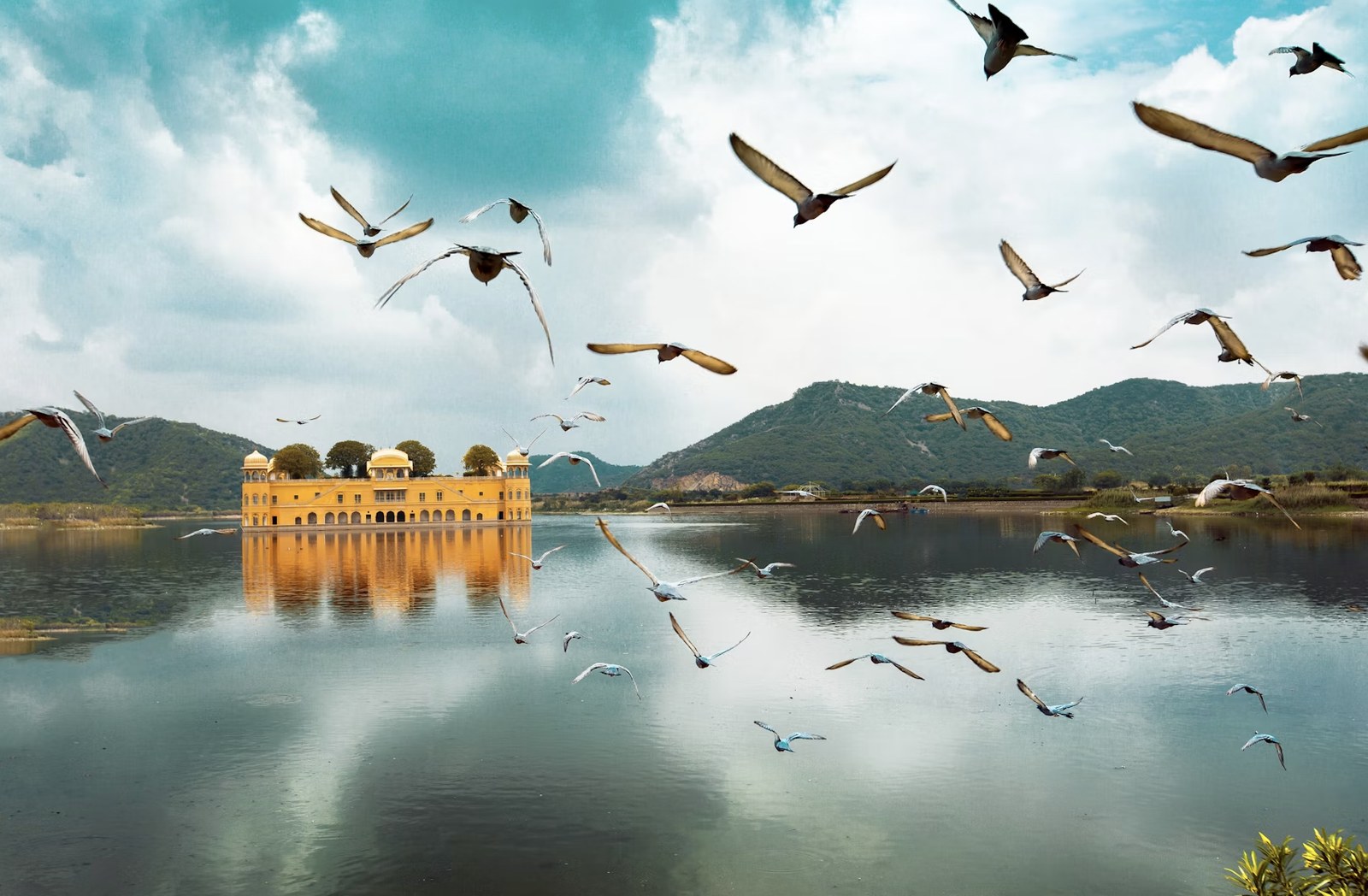Flock of birds soaring above Jal Mahal and tranquil waters of Man Sagar Lake