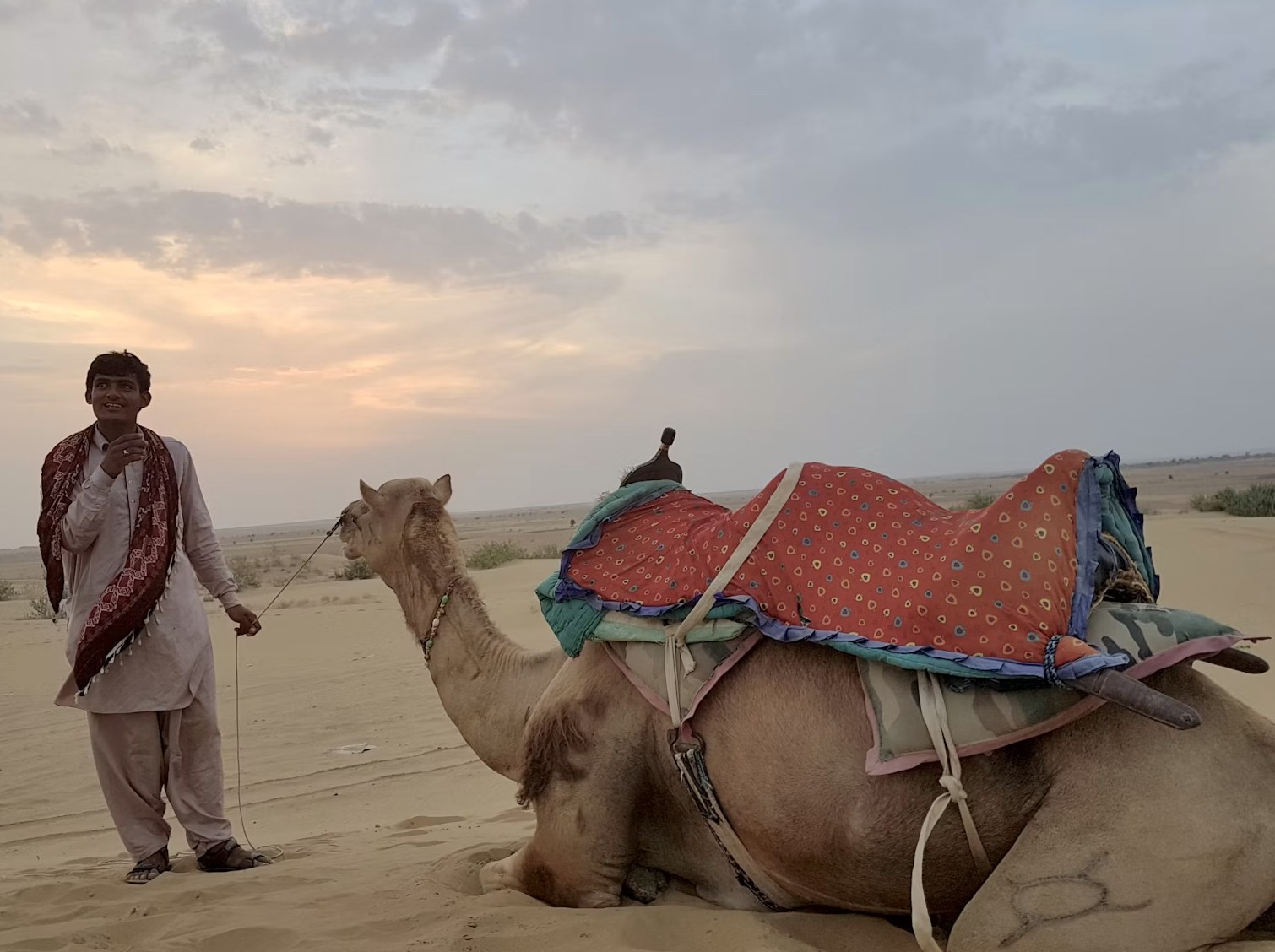 Traditional camel safari guide and decorated camel resting on the Sam Sand Dunes