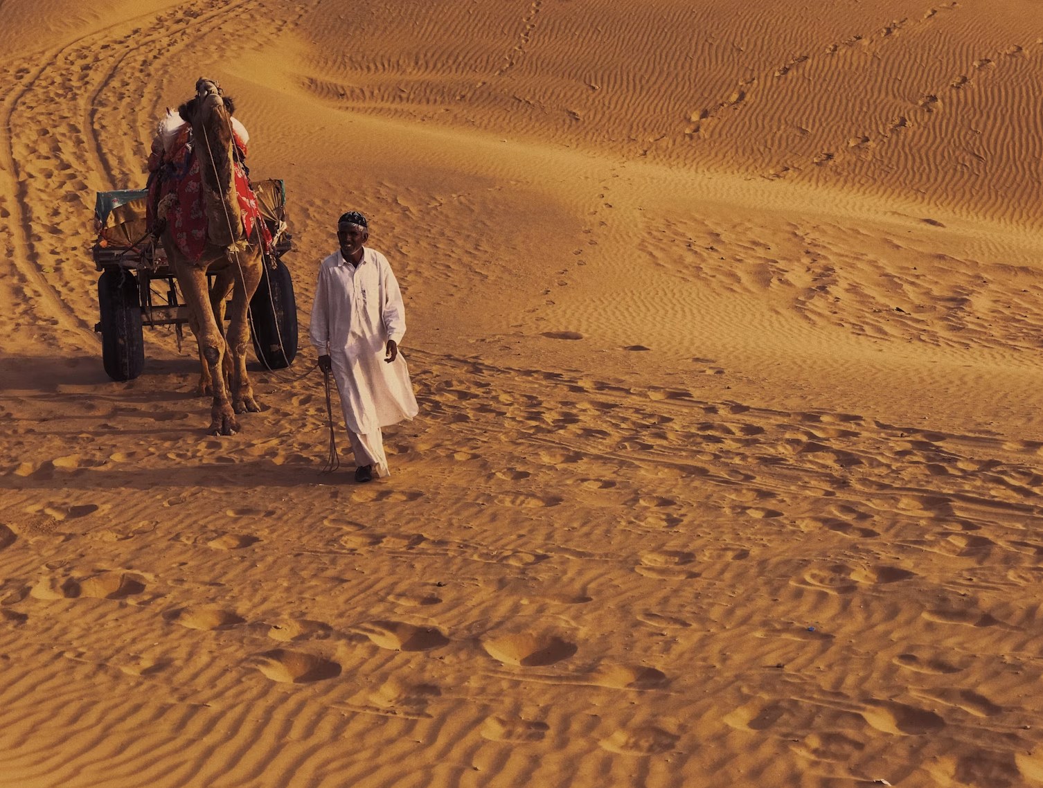 Traditional camel cart ride crossing the vast golden sand ridges of Jaisalmer