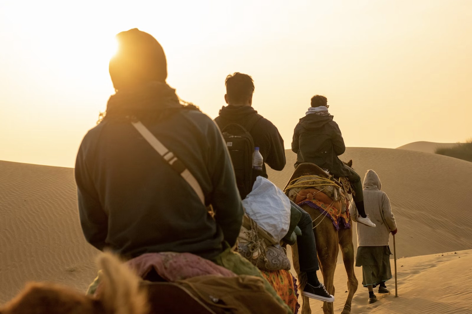 Travelers on camelback riding into the glowing desert sunset in Jaisalmer