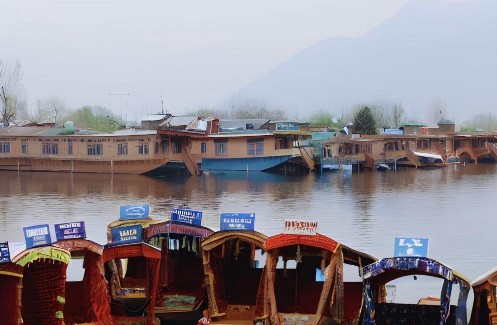 Colorful fleet of Shikara boats resting along the tranquil lake shore