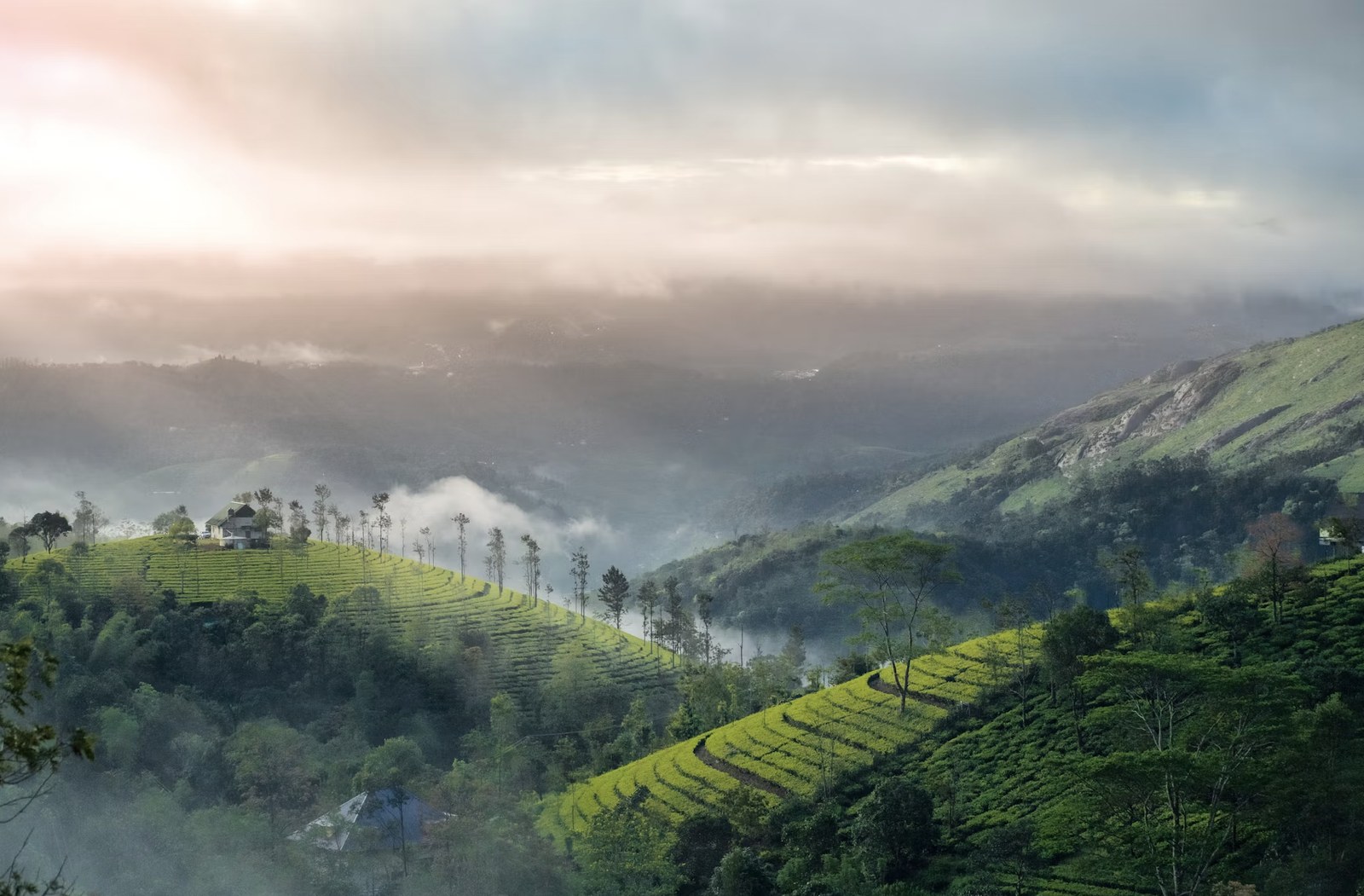 Munnar Alleppey Honeymoon Escape