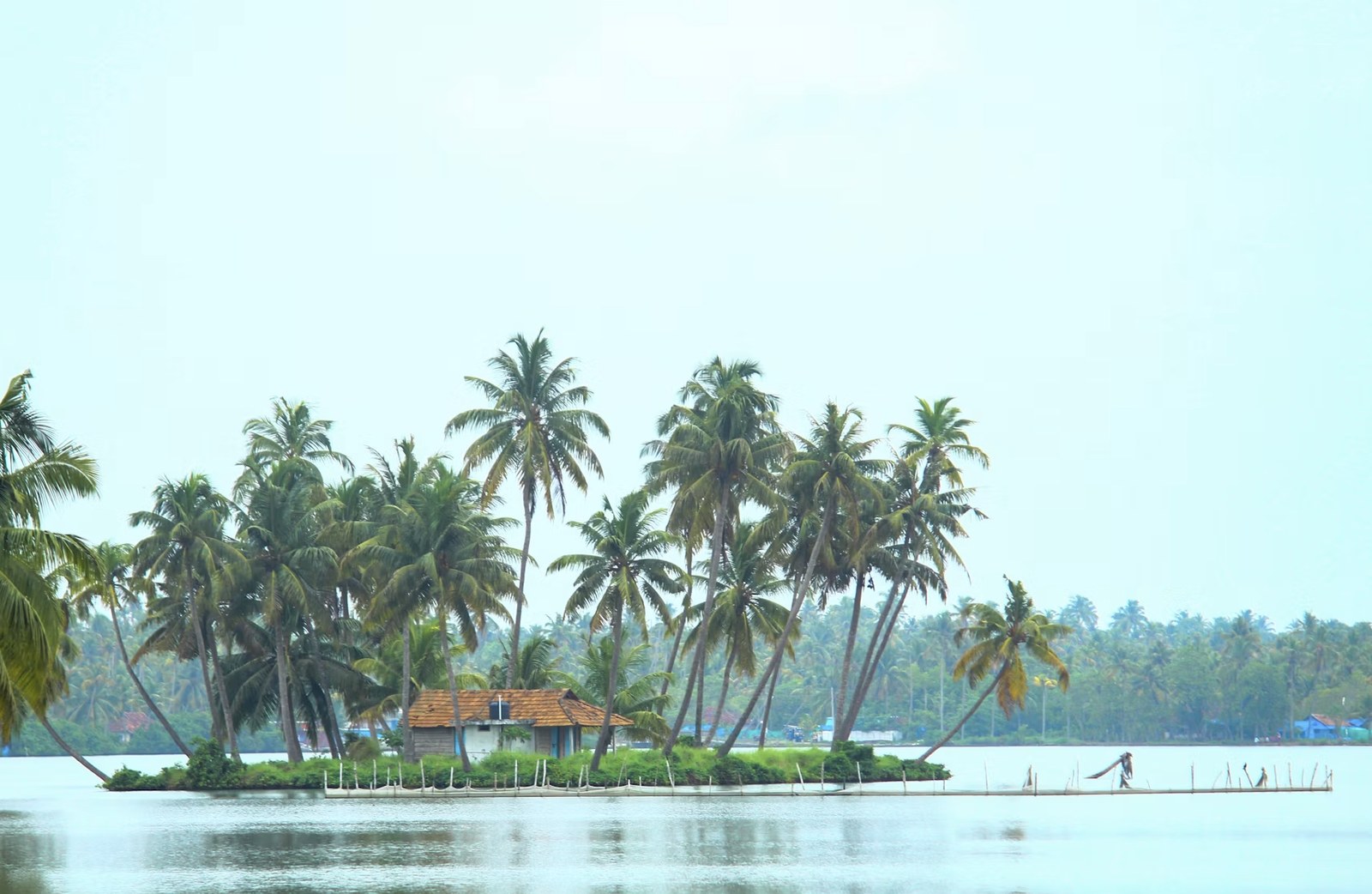 Picturesque palm-fringed islet on the calm Kerala backwaters