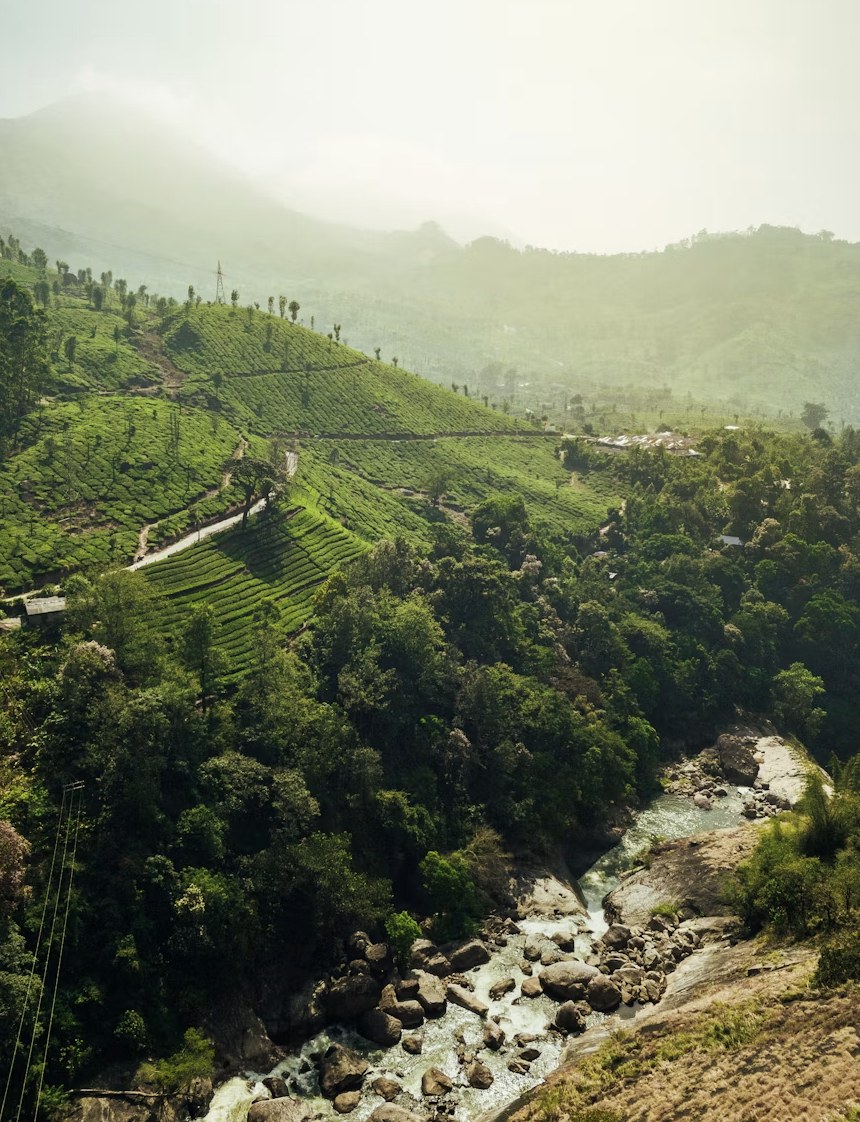 Misty mountain valleys, hanging bridge, and streams in Munnar