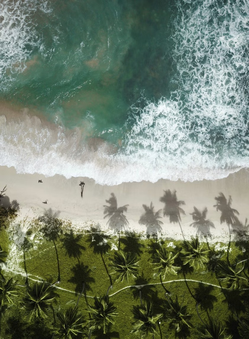 Aerial top-down vista of lush palms, white sands, and turquoise ocean swells