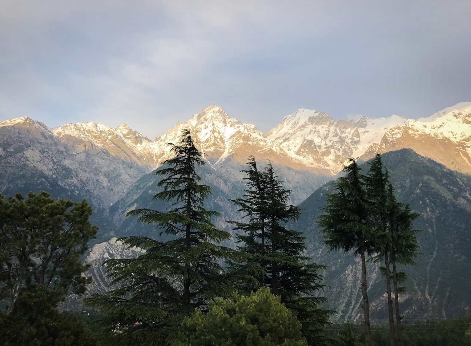 Golden twilight rays illuminating snow-clad Himalayan peaks over cedar pines