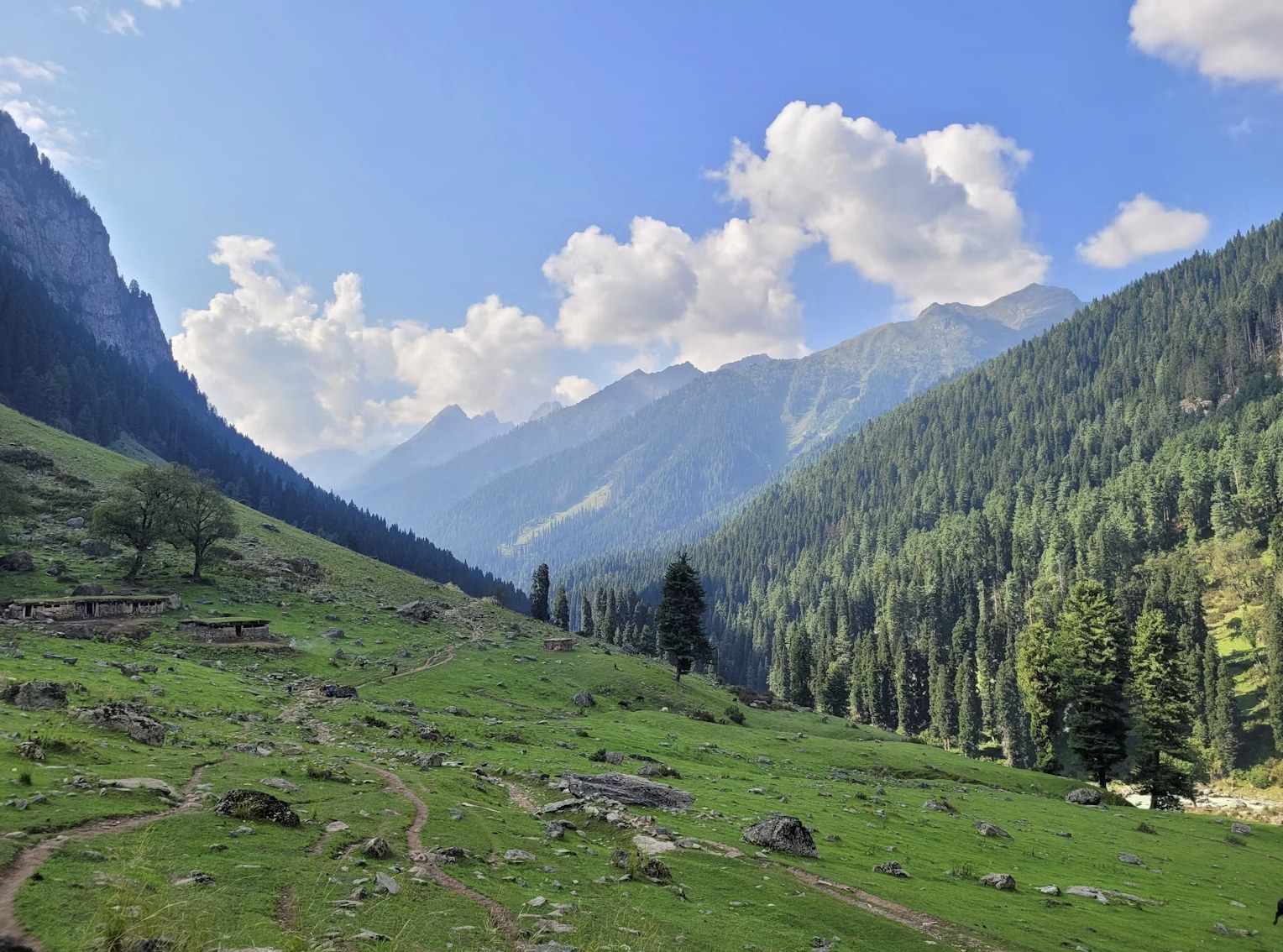 Pristine pine-clad slopes beneath bright blue skies in Pahalgam