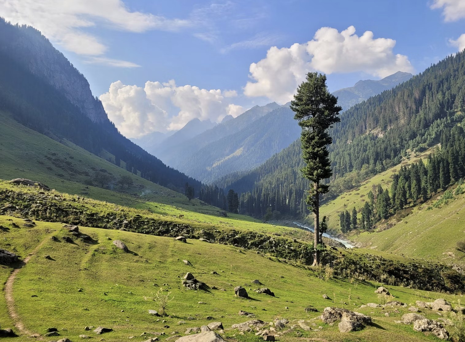 Vast expansive alpine pastures and surrounding Himalayan heights