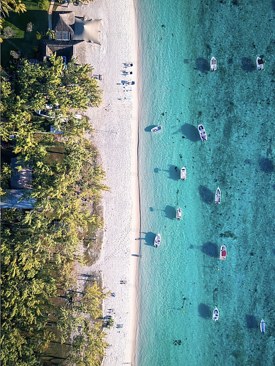Overhead aerial perspective of coconut palm groves and crystal turquoise waters