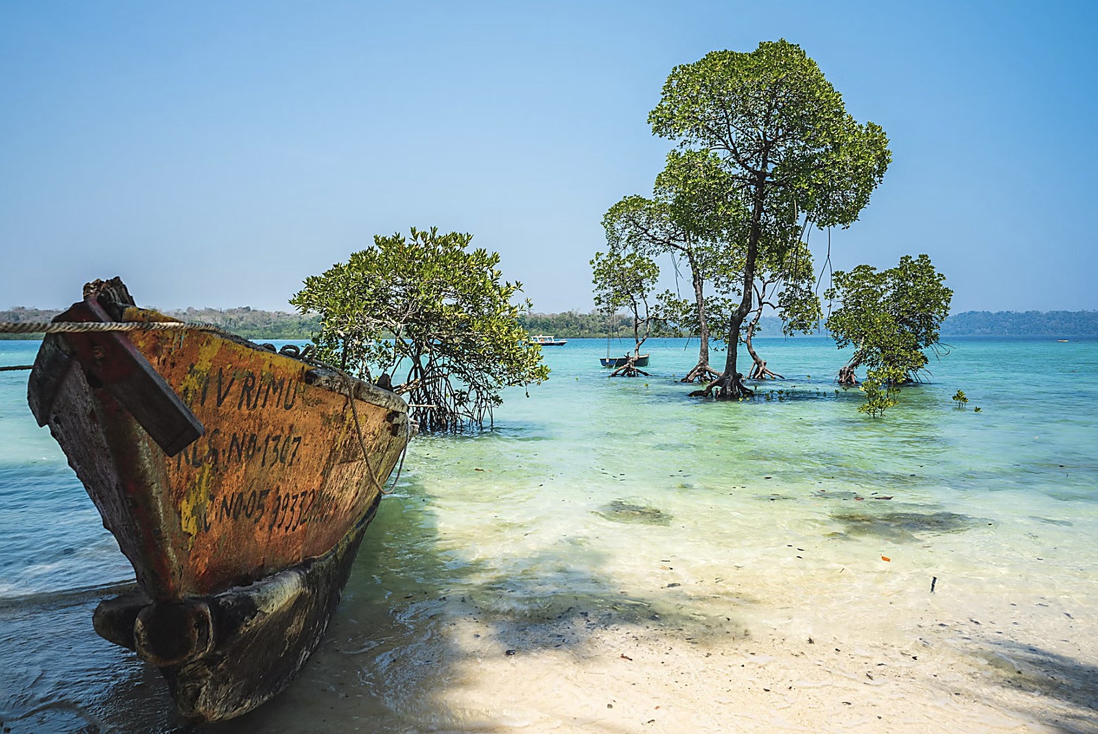 Historic wooden boat wreck and mangroves on the soft white sands of the beach