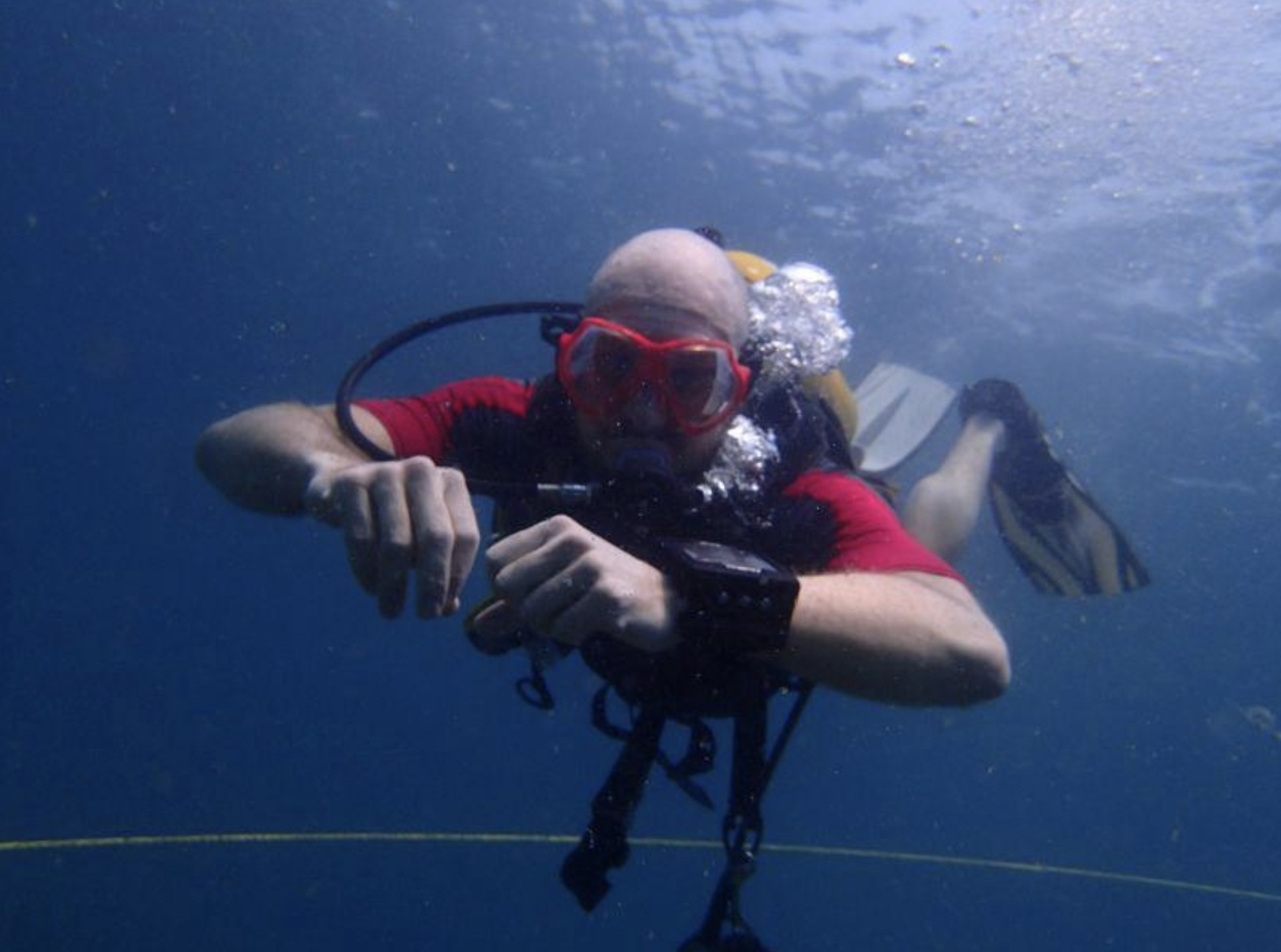 Ocean Marine Life & Tropical Fishes