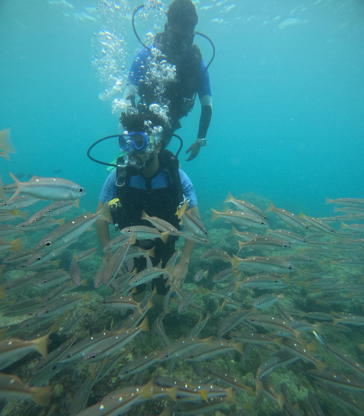 30-Minute Scuba Diving at Neil Island