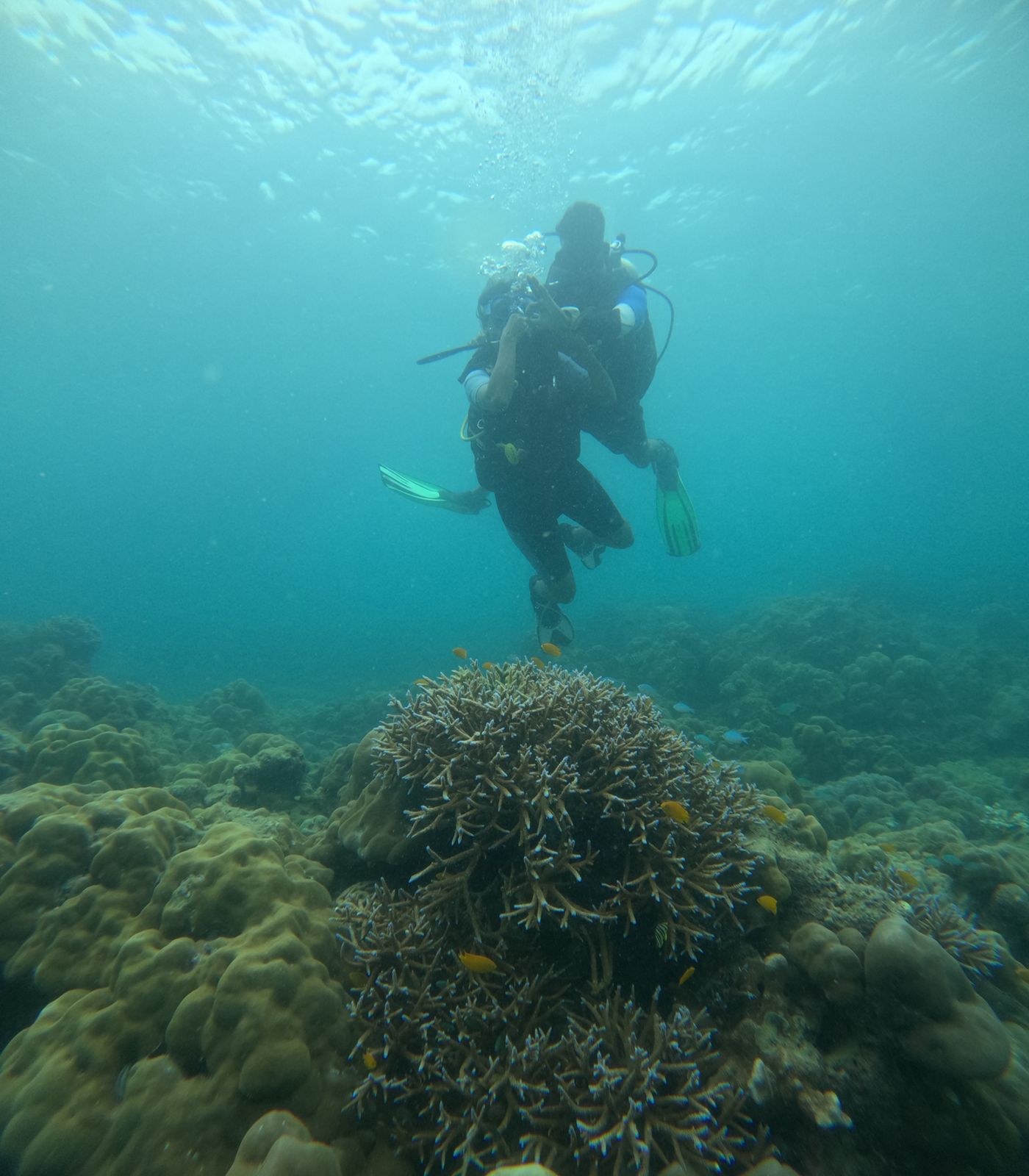 Scuba Diving in Netrani Island Karnataka (30 mins)