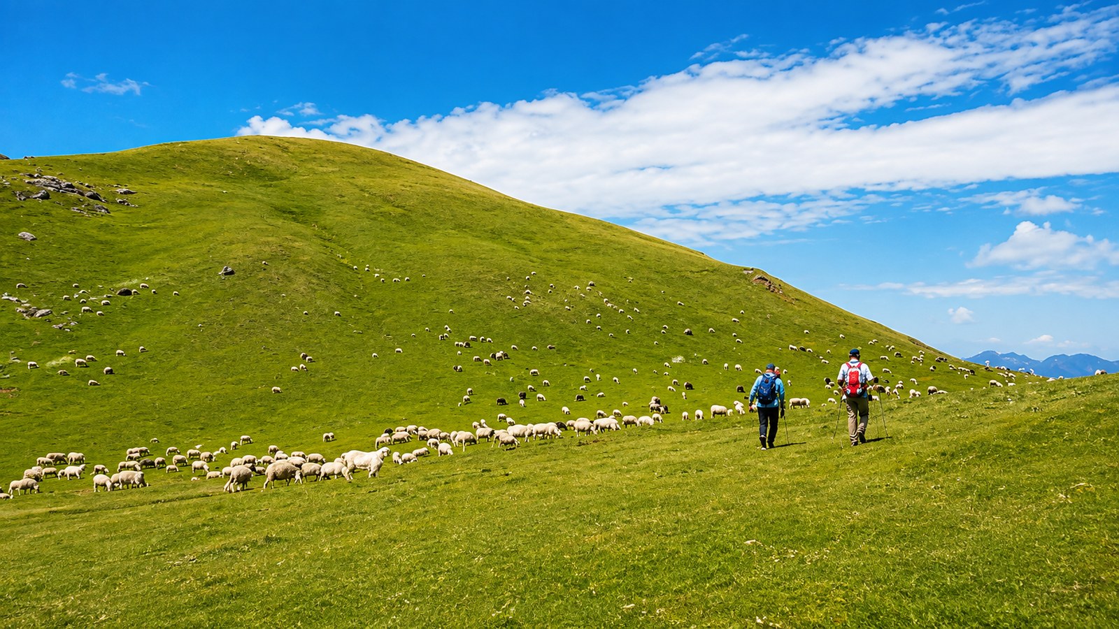 Dayara Bugyal Alpine Meadow Trek (5 Days)