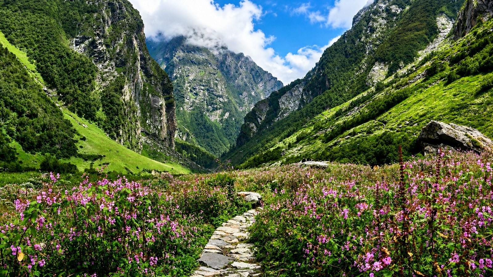 Lush flowering valley paths along the Pushpawati riverbed