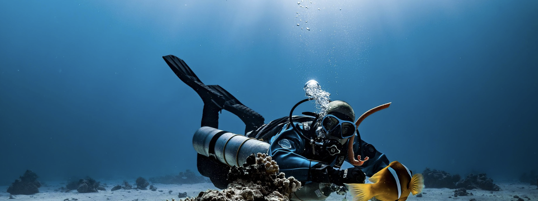 30m Scuba Diving in Havelock Island Andaman (Shore Dive) — photo 3